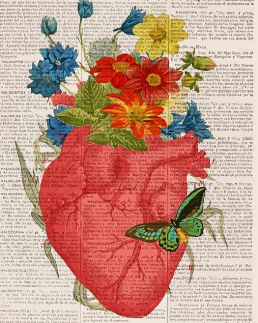 Floral Heart Anatomy Illustrations Paint By Numbers