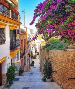 Flowering Spanish Street Paint By Numbers