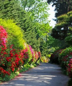 Flowering Garden Spring In Korea Paint By Numbers