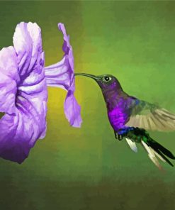 Flying Purple Hummingbird And Flower Paint By Numbers