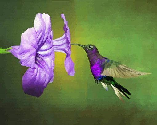 Flying Purple Hummingbird And Flower Paint By Numbers