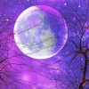 Galaxy Purple Moon Paint By Numbers