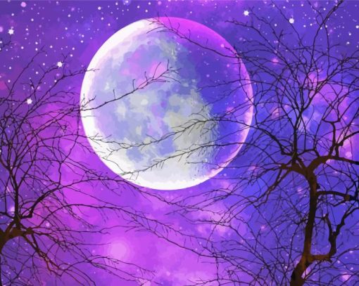 Galaxy Purple Moon Paint By Numbers