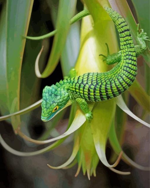 Green Abronia Graminea Paint By Numbers