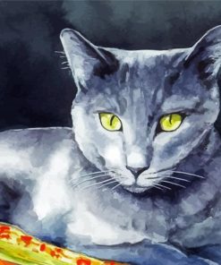 Grey White Cat Paint By Numbers