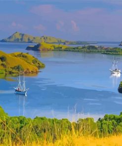 Labuan Bajo Paint By Numbers