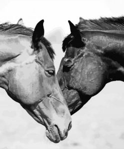 Monochrome Horse Couple Paint By Numbers