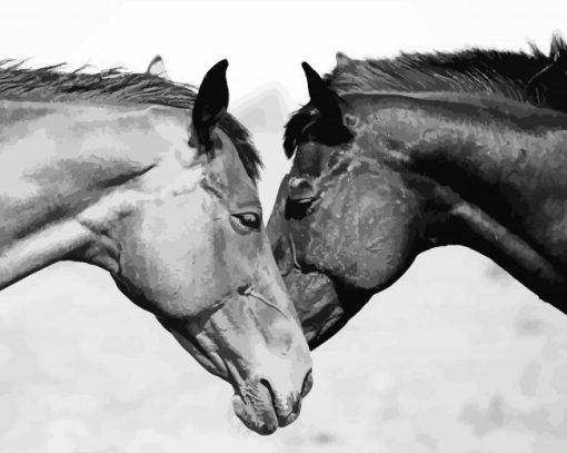 Monochrome Horse Couple Paint By Numbers