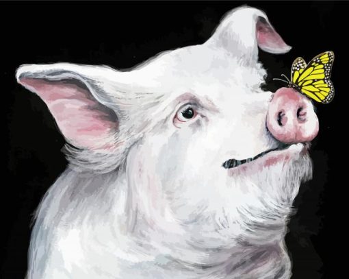 Pig With Yellow Butterfly Paint By Numbers