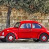 Red Be Beetle Paint By Numbers