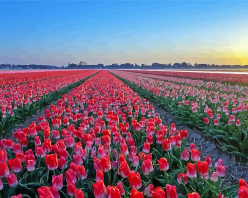 Red Tulip Field Landscape Paint By Numbers