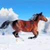 Running Snow Horse Paint By Numbers