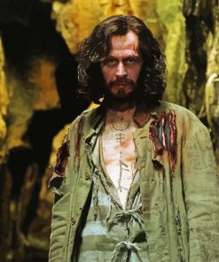 Sirius Black Harry Potter Movie Paint By Numbers