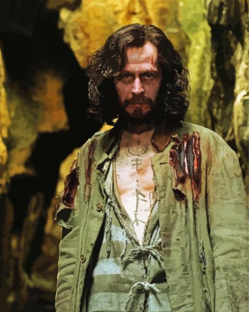 Sirius Black Harry Potter Movie Paint By Numbers