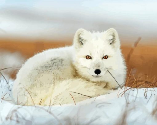 Snow Fox Animal Paint By Numbers