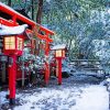 Winter Snow Japan Shrine Paint By Numbers