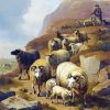 Aesthetic Sheep Farmer Art Paint By Numbers