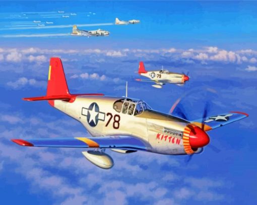 American Fighting Red Trails Paint By Numbers