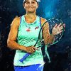 Ashleigh Barty Art Paint By Numbers