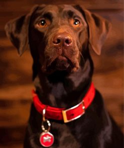 Baby Chocolate Lab Paint By Numbers