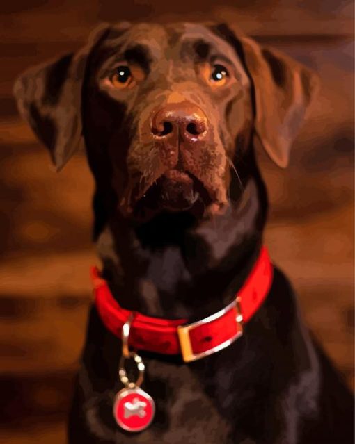 Baby Chocolate Lab Paint By Numbers