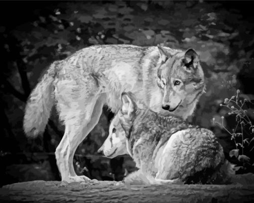 Black And White Wolves Paint By Numbers