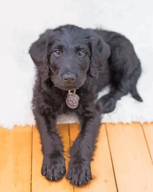 Black Labradoolle Puppy Paint By Numbers