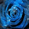 Blue Space Flower Paint By Numbers