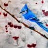 Blue Jay In Winter Snow Paint By Numbers