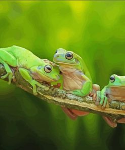 Borneo Green Frog Paint By Numbers