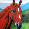 Brown Horse Head Paint By Numbers