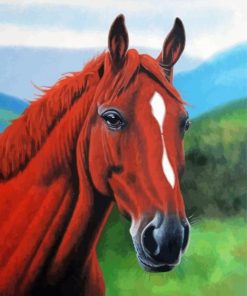 Brown Horse Head Paint By Numbers