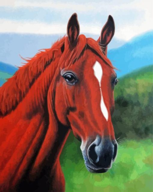 Brown Horse Head Paint By Numbers
