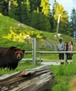 California Grizzly Bear Paint By Numbers