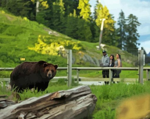 California Grizzly Bear Paint By Numbers