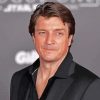 Canadian Actor Nathan Fillion Paint By Numbers