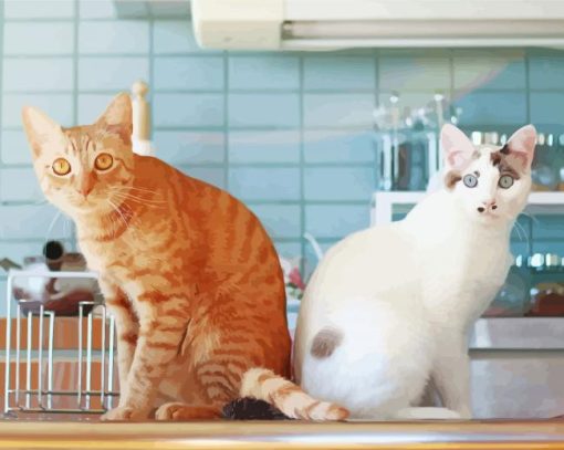 Cats In Kitchen Paint By Numbers