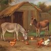 Chicken And Donkeys Paint By Numbers