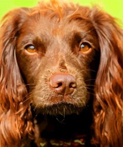 Close Up Chocolate Brown Field Spaniel Paint By Numbers