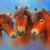 Exmoor Ponies Art Paint By Numbers