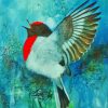 Flying Red Capped Robin Art Paint By Numbers