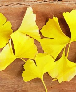 Ginkgo Yellow Leaves Paint By Numbers