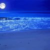 Moon And Ocean Paint By Numbers