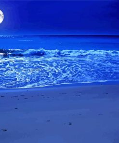 Moon And Ocean Paint By Numbers