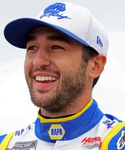 Chase Elliott Smiling Paint By Numbers