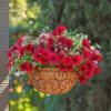 Petunias Beautiful Hanging Flowers Paint By Numbers