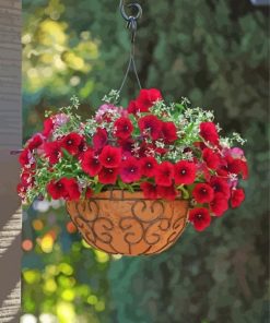 Petunias Beautiful Hanging Flowers Paint By Numbers