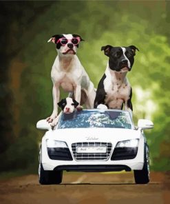 Pit Bull Family On Car Paint By Numbers