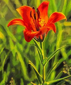 Prairie Lily Art Paint By Numbers