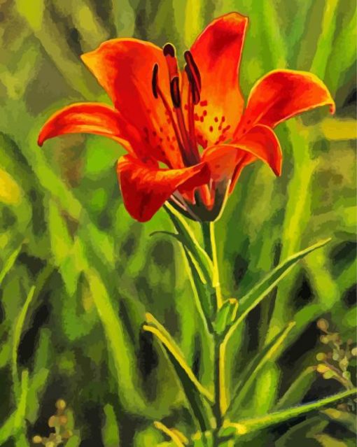 Prairie Lily Art Paint By Numbers